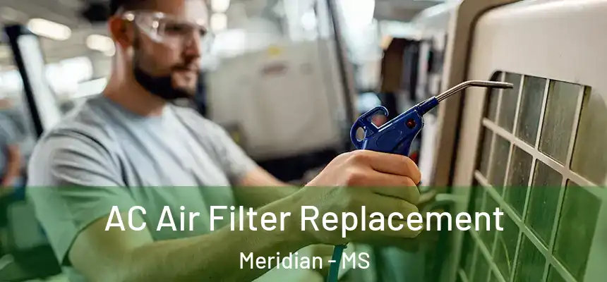 AC Air Filter Replacement Meridian - MS