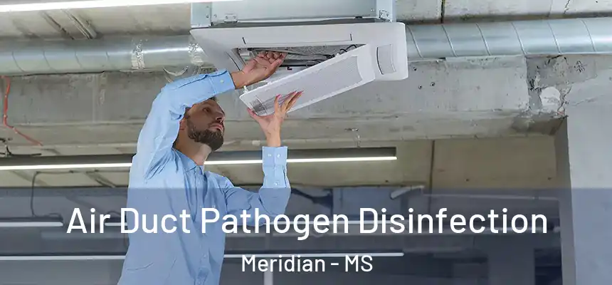  Air Duct Pathogen Disinfection Meridian - MS