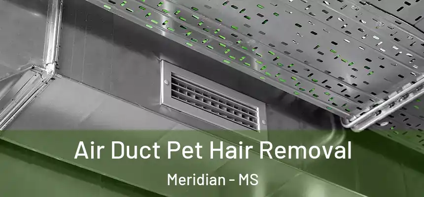  Air Duct Pet Hair Removal Meridian - MS