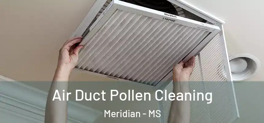 Air Duct Pollen Cleaning Meridian - MS