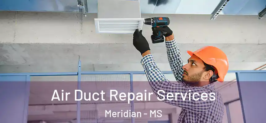  Air Duct Repair Services Meridian - MS