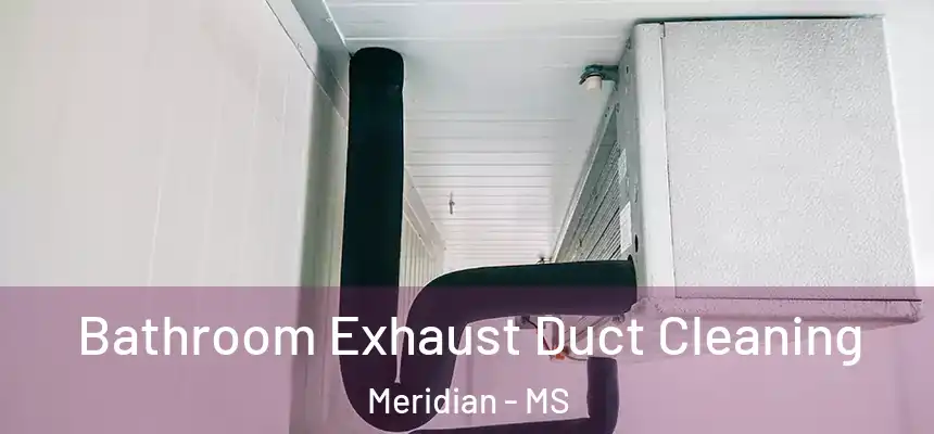  Bathroom Exhaust Duct Cleaning Meridian - MS
