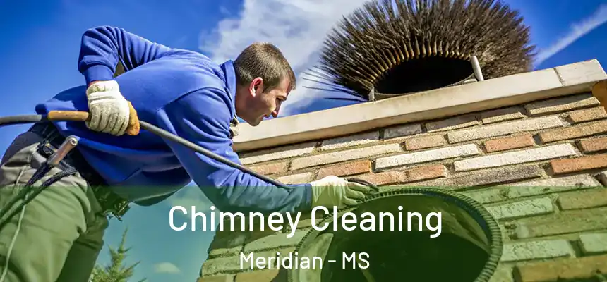 Chimney Cleaning Meridian - MS