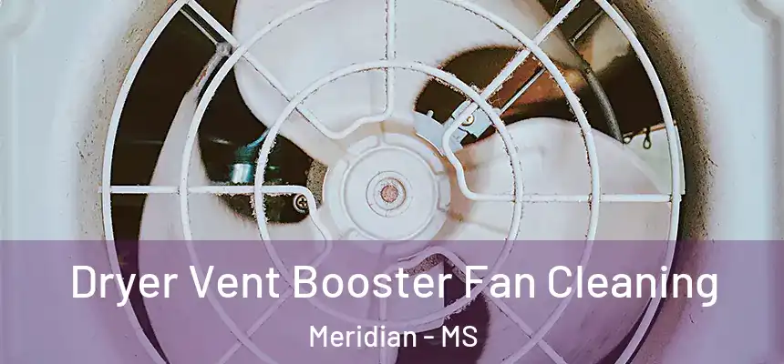  Dryer Vent Booster Fan Cleaning Meridian - MS