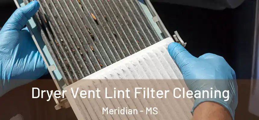 Dryer Vent Lint Filter Cleaning Meridian - MS