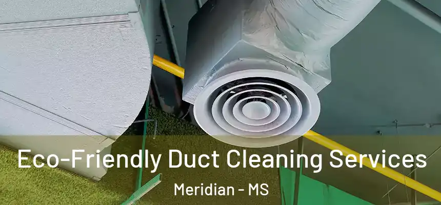  Eco-Friendly Duct Cleaning Services Meridian - MS