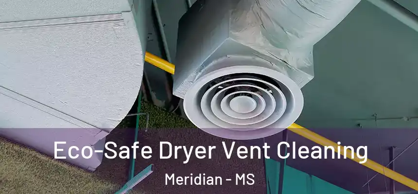 Eco-Safe Dryer Vent Cleaning Meridian - MS