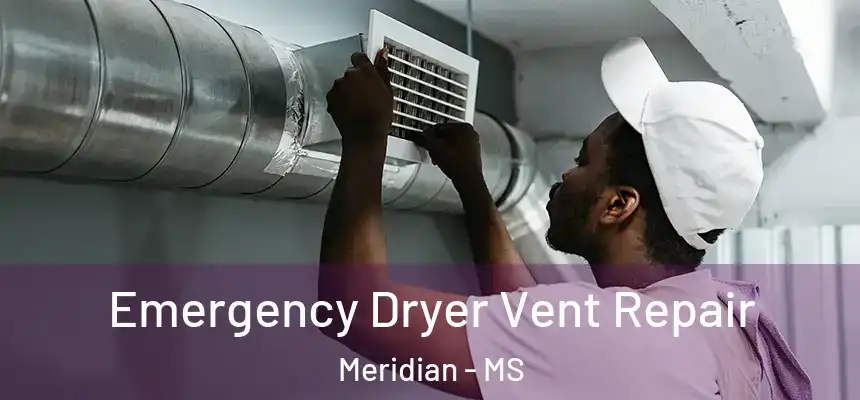  Emergency Dryer Vent Repair Meridian - MS