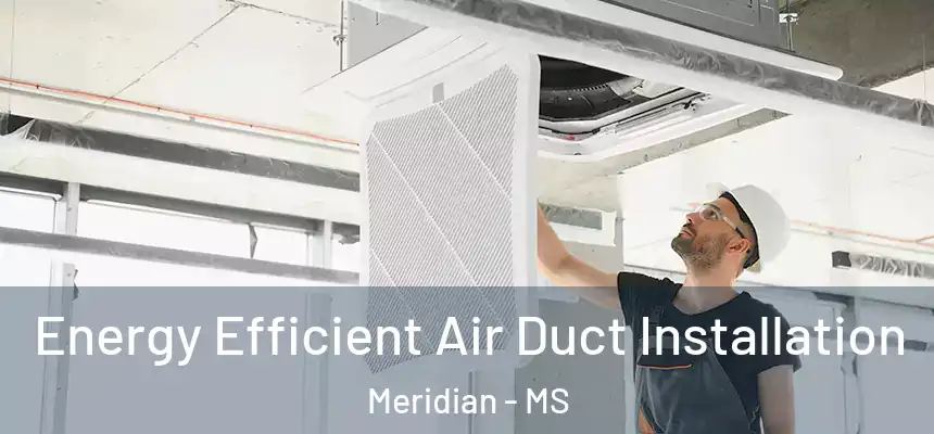  Energy Efficient Air Duct Installation Meridian - MS