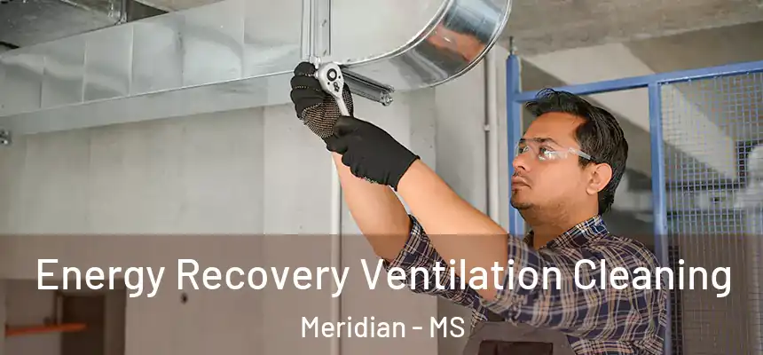  Energy Recovery Ventilation Cleaning Meridian - MS
