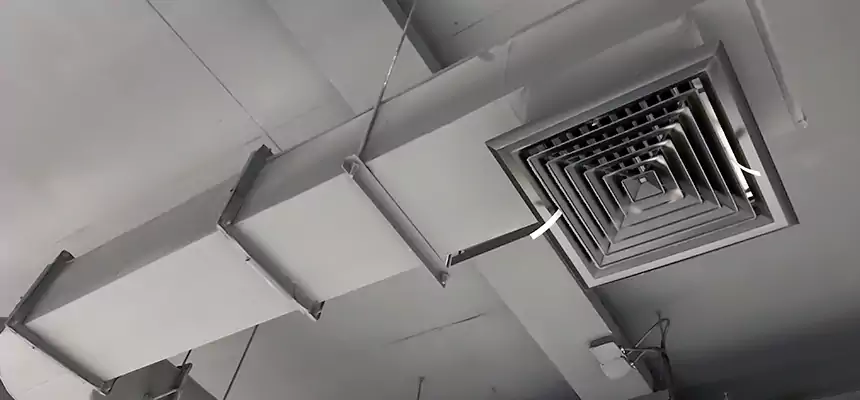 Our Pest Removal From Ducts Services in Meridian, MS