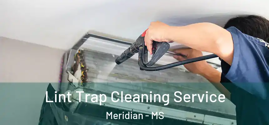 Lint Trap Cleaning Service Meridian - MS