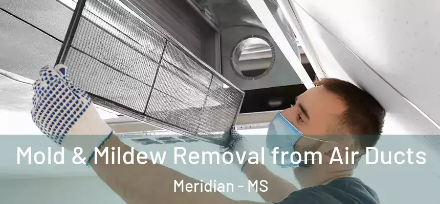  Mold & Mildew Removal from Air Ducts Meridian - MS