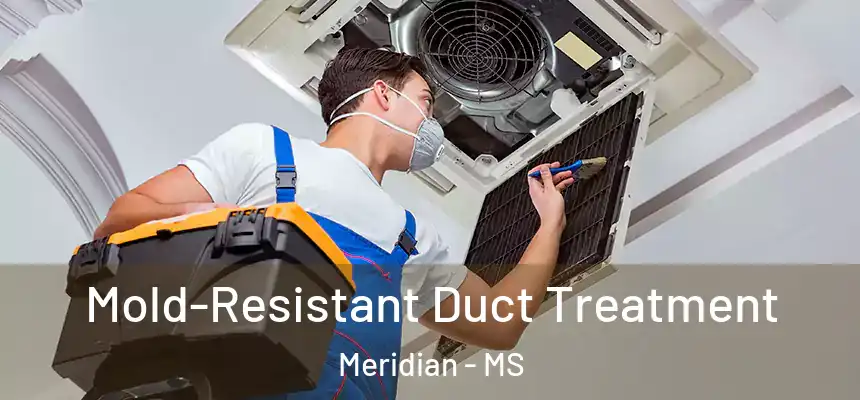 Mold-Resistant Duct Treatment Meridian - MS
