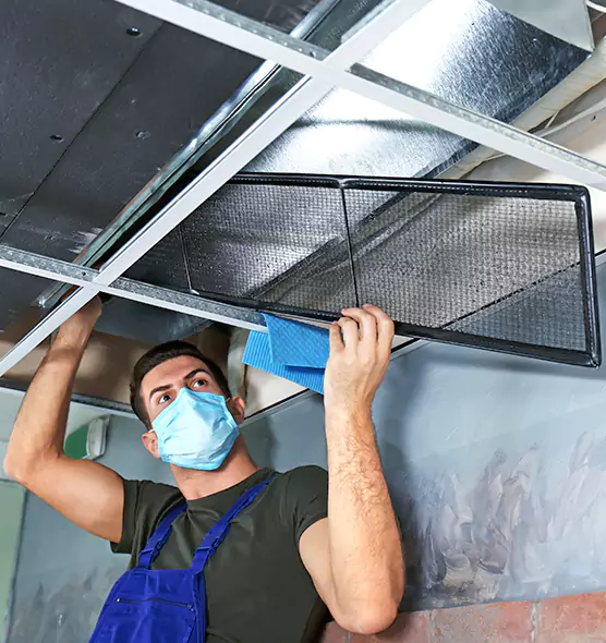 About Air Duct Bacteria Removal in Meridian