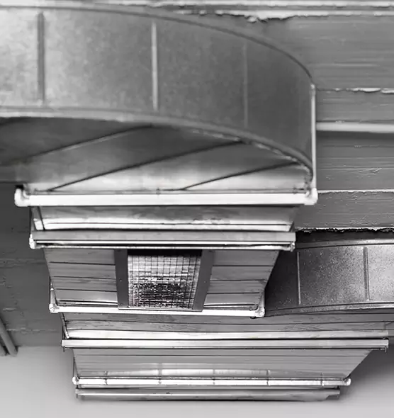 Professional Air Duct Pest Removal in Meridian, MS