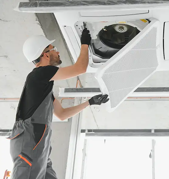 About Air Duct Rodent Removal in Meridian, MS