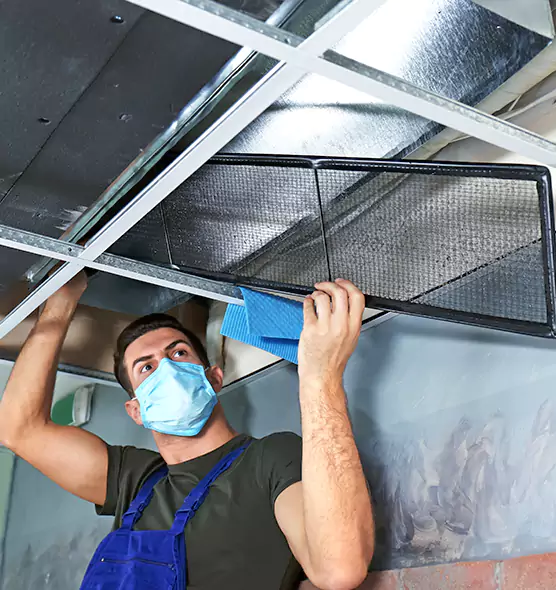 Professional Home Ventilation Cleaning in Meridian, MS