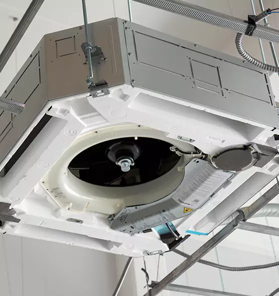 Professional Roof Vent Lint Removal Meridian, MS