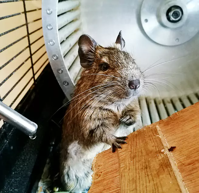 Why Homeowners & Businesses Trust Us Meridian, MS