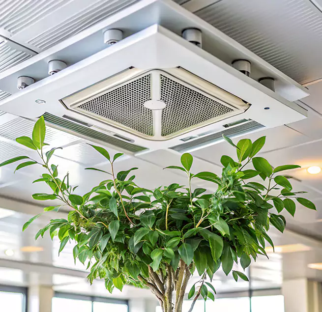 Why Homeowners & Businesses Trust Us in Meridian, MS?