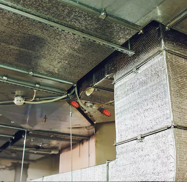 Why Homeowners & Businesses Trust Us Meridian, MS?