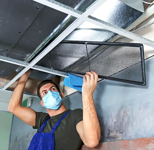  Why Homeowners Businesses Trust Us  in Meridian, MS?