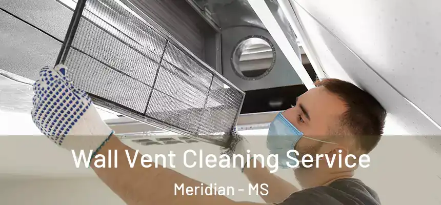  Wall Vent Cleaning Service Meridian - MS
